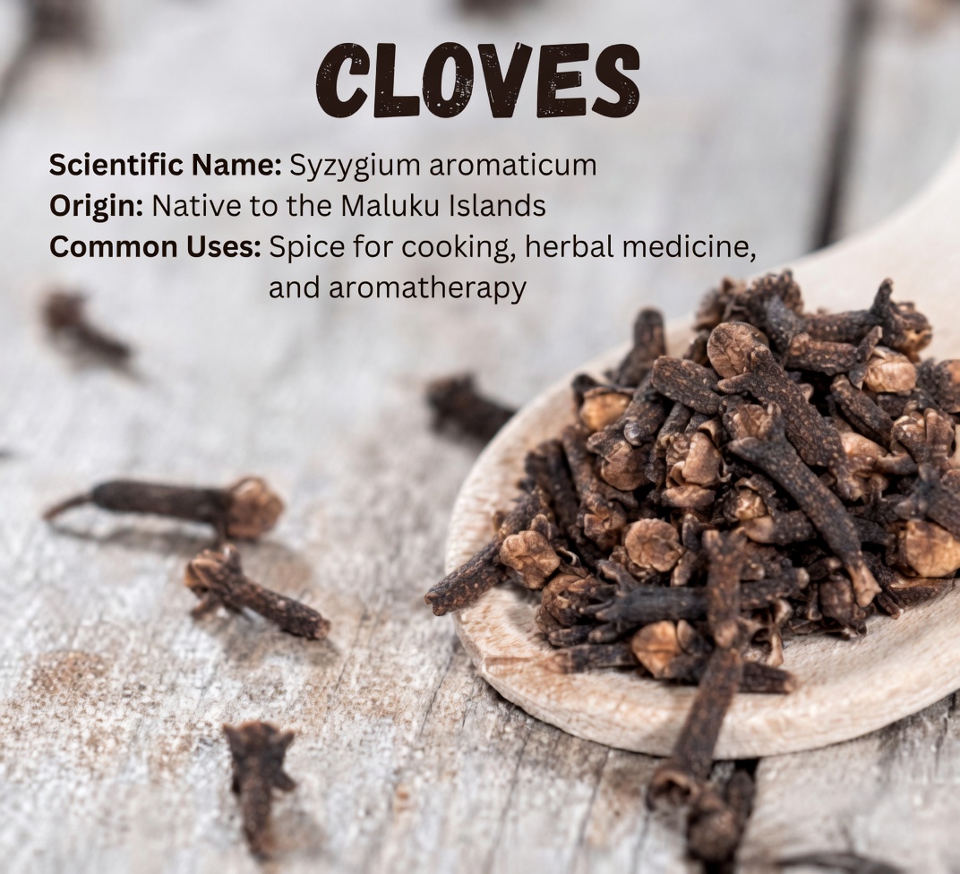 What Happens When You Eat 2 Cloves a Day? 12 Potential Wellness Insights for Adults Over 50