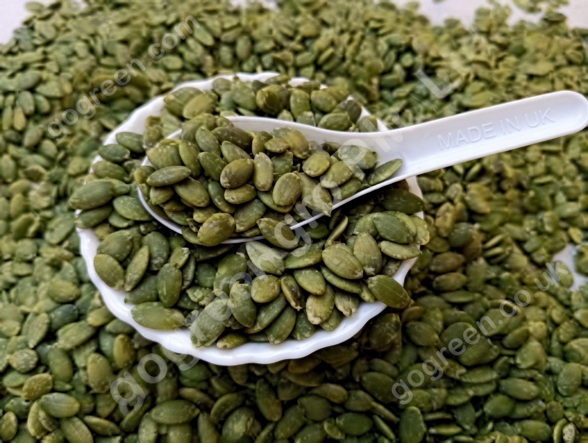 One Seed to Fight Muscle Loss in Seniors