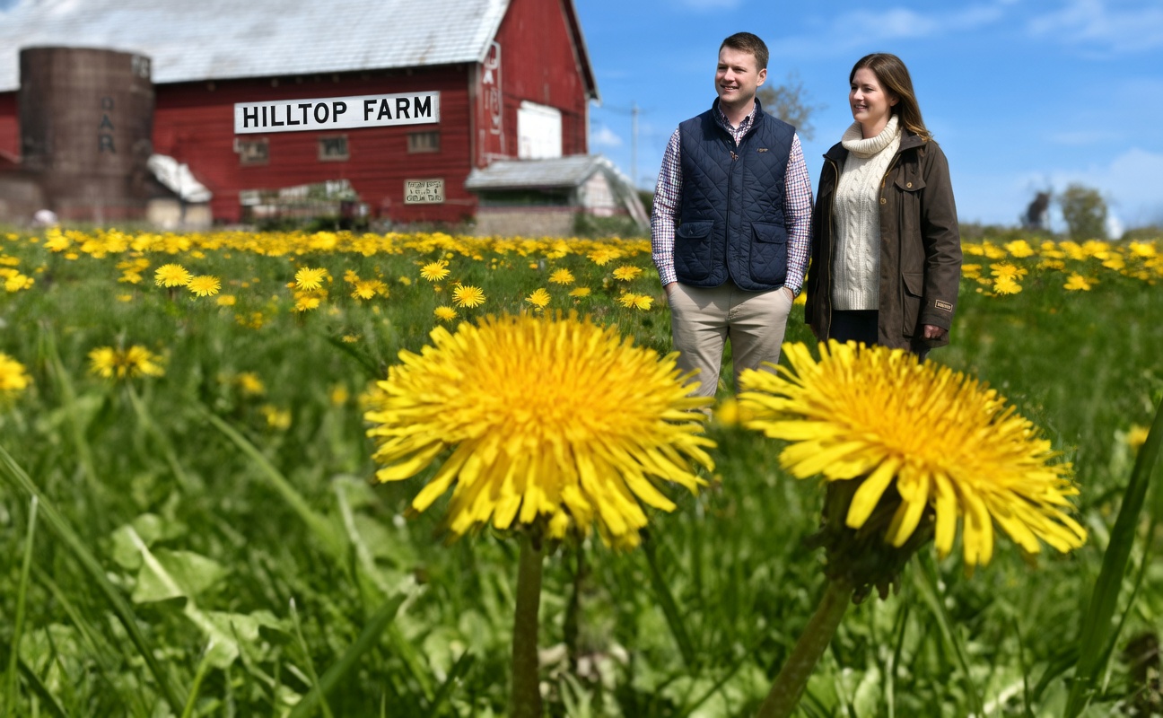 Discover Garden Gold: Dandelion’s Hidden Power – The Overlooked Superfood That Could Transform Your Health