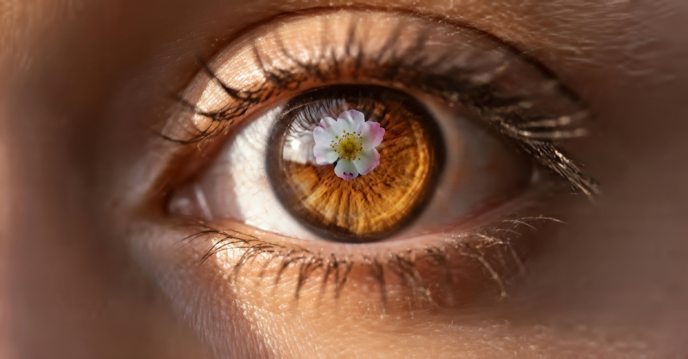 Saffron for Eye Health: The Golden Spice That Could Protect Your Vision