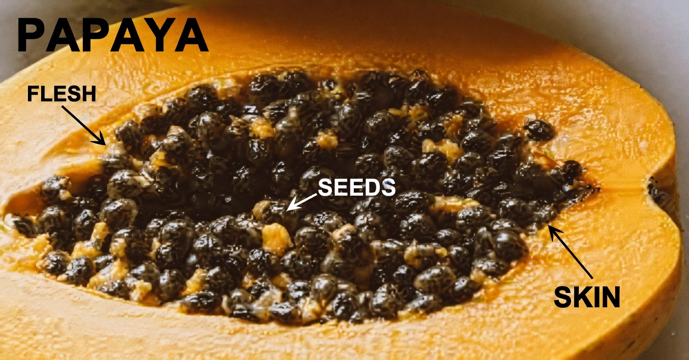 Papaya Seeds: Eat Them Daily for 7 Days and Watch This Surprising Transformation Unfold (Backed by Science)