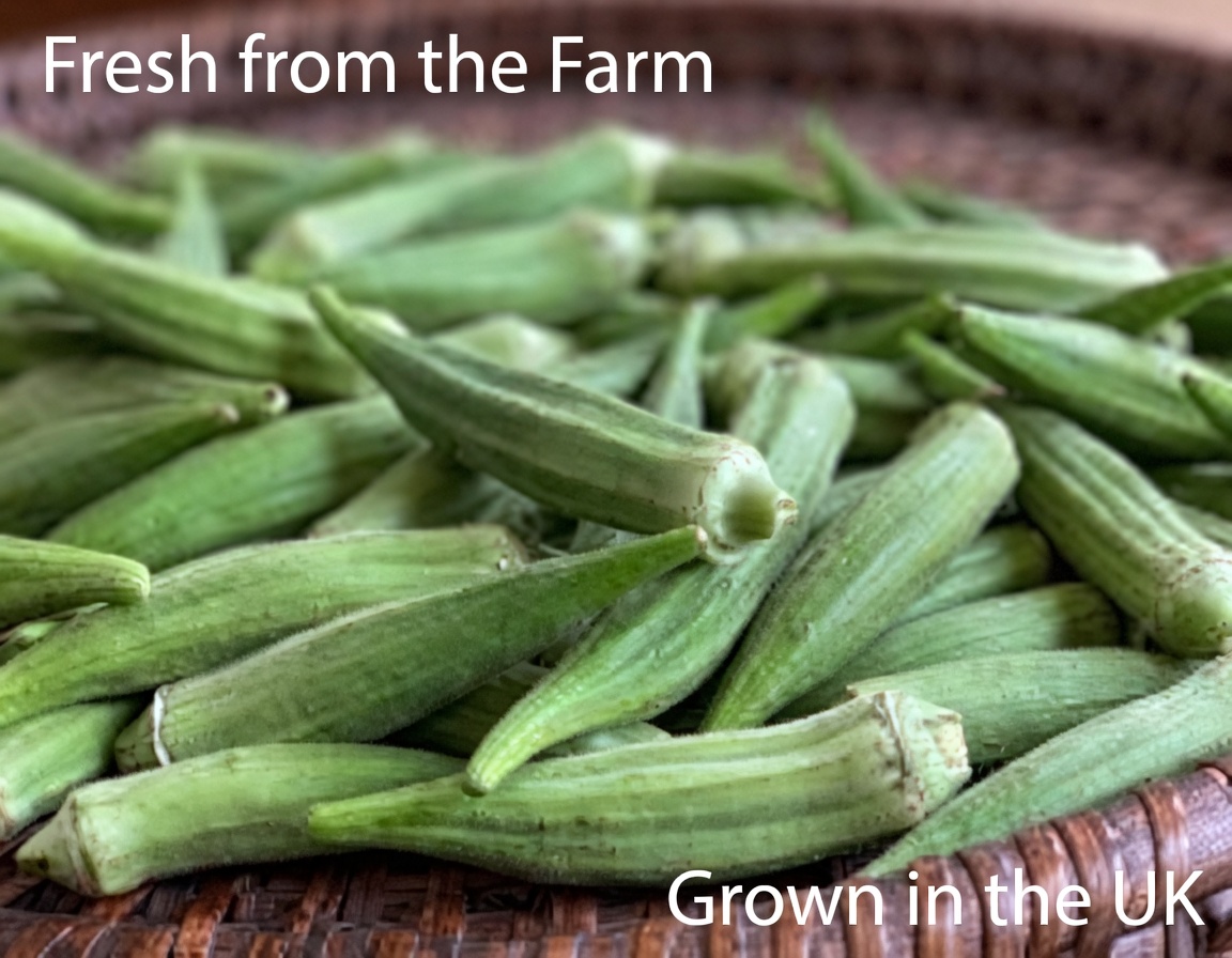 Doctors Reveal What Happens When You Eat Okra Regularly