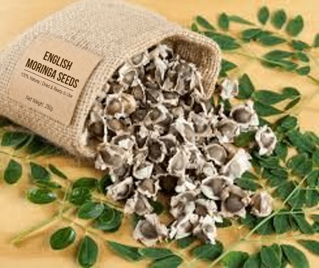 12 Moringa Seed Benefits You’ll Never Hear from Your Doctor (But You Should Know)