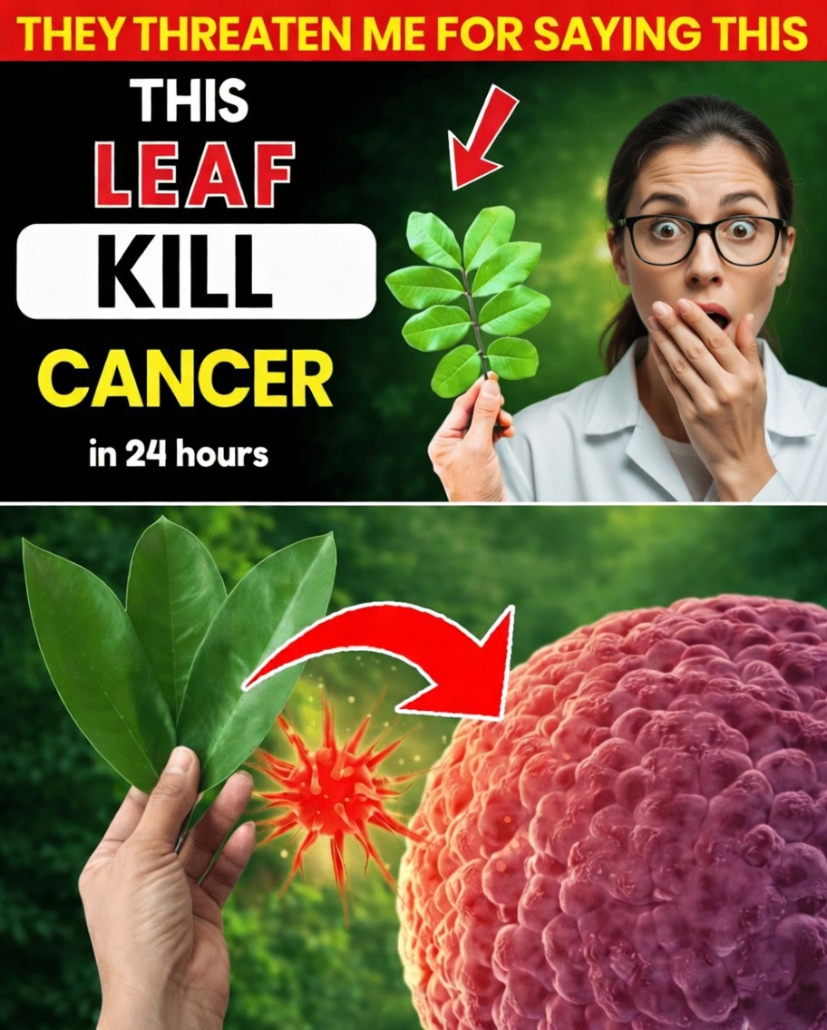 Doctors Won’t Tell You About This Leaf That DESTROYS CANCER (Don’t Miss)