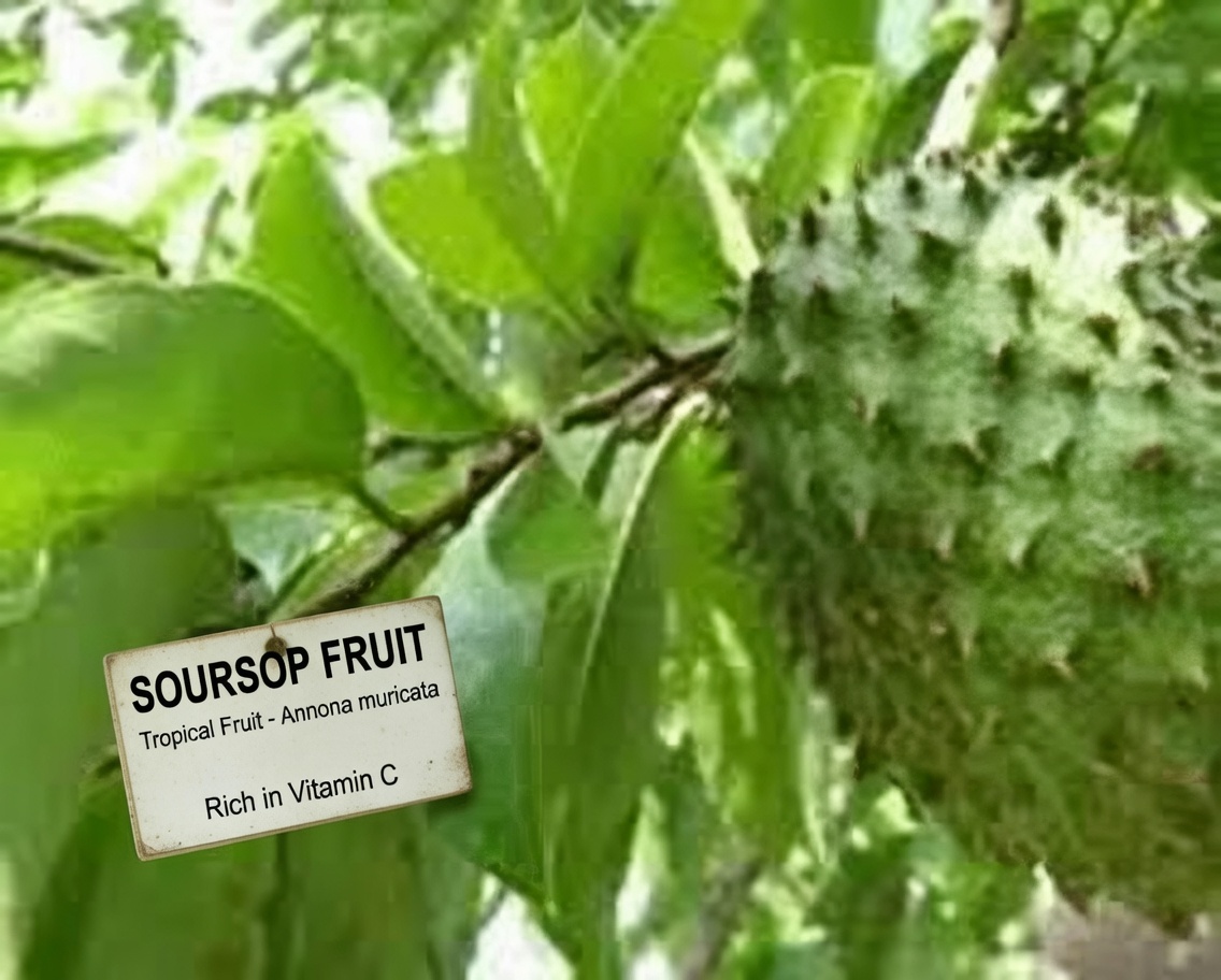 Doctors Won’t Tell You About This Leaf That DESTROYS CANCER (Don’t Miss)