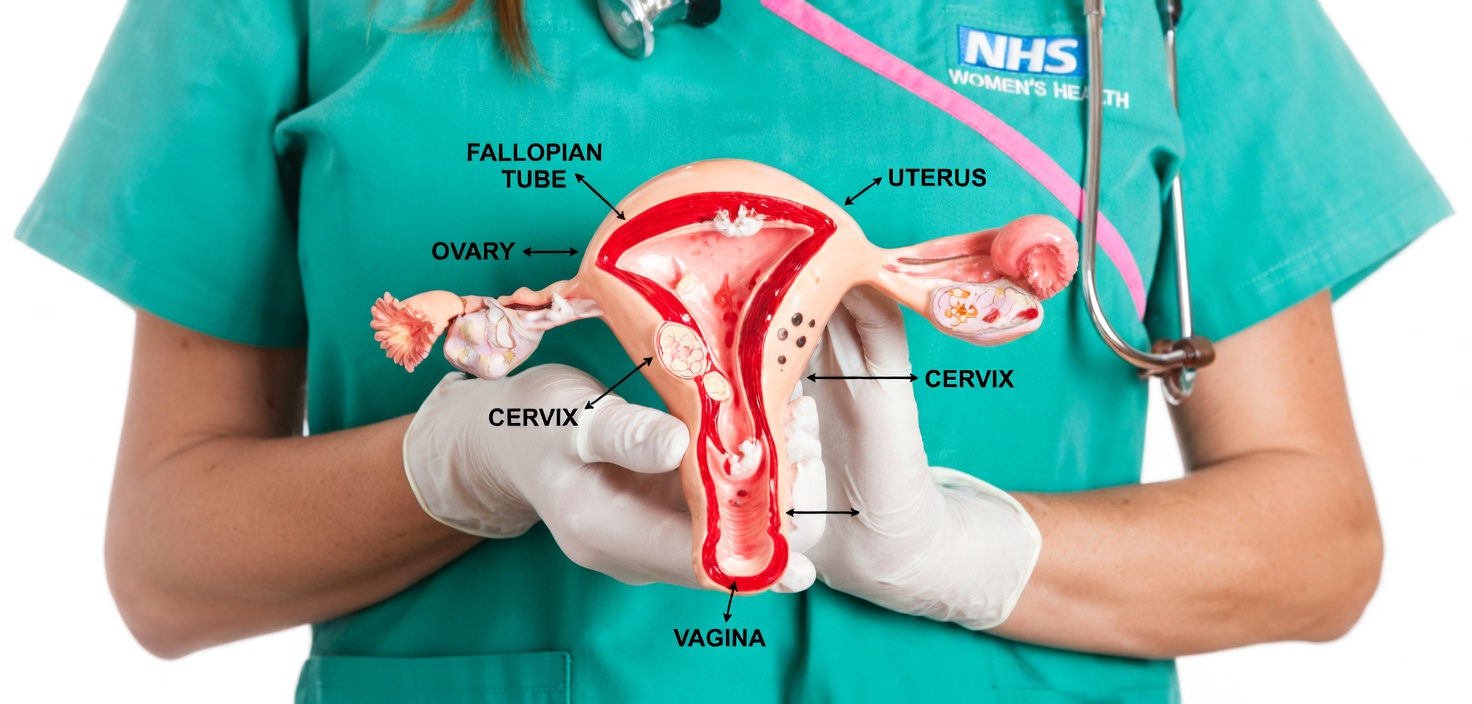 8 Silent Signs of Ovarian Cancer Every Woman Needs to Know (And Why Early Awareness Saves Lives)