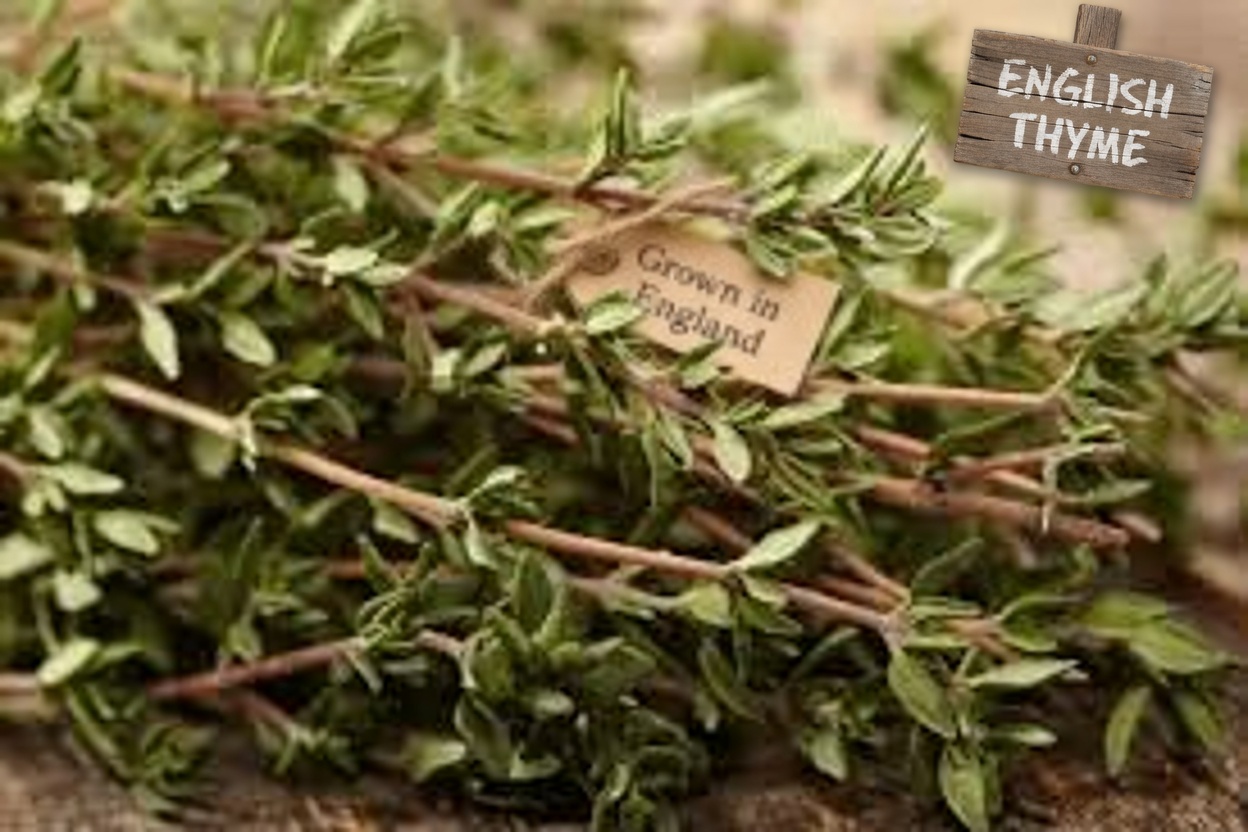 8 Benefits and Uses of Thyme