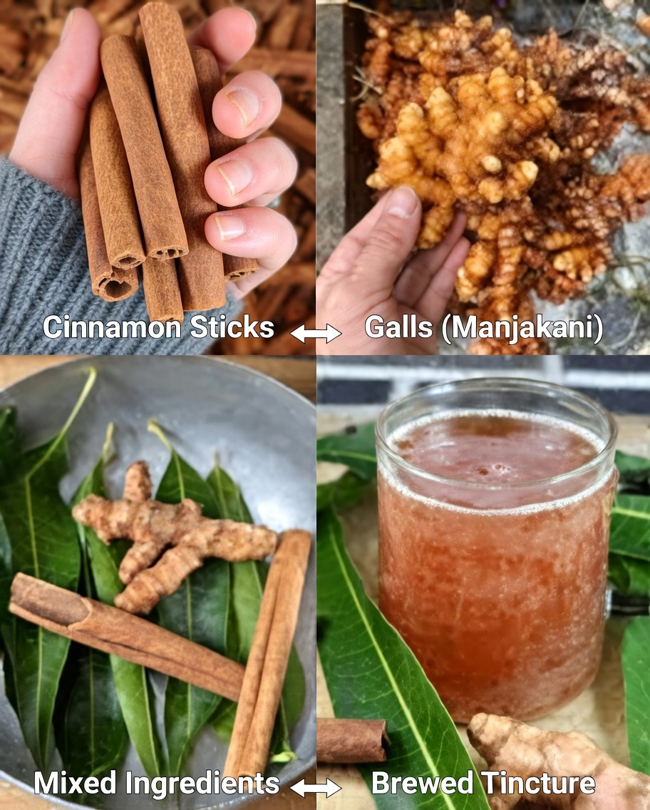 The Magical Herbal Drink for Diabetes, Blood Circulation, Fatty Liver, and Bone Pain