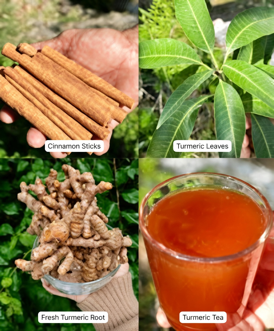 The Magical Herbal Drink for Diabetes, Blood Circulation, Fatty Liver, and Bone Pain