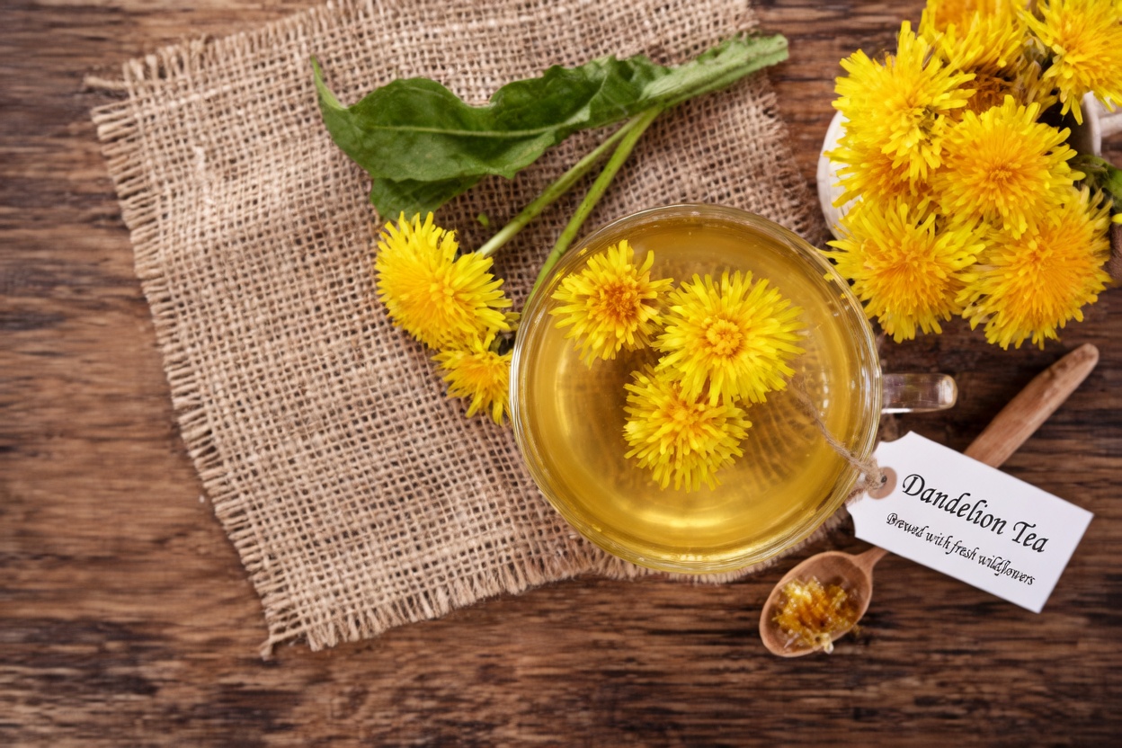 Dandelion and Prostate Health: What the Latest Research Tells Us About This Traditional Herb