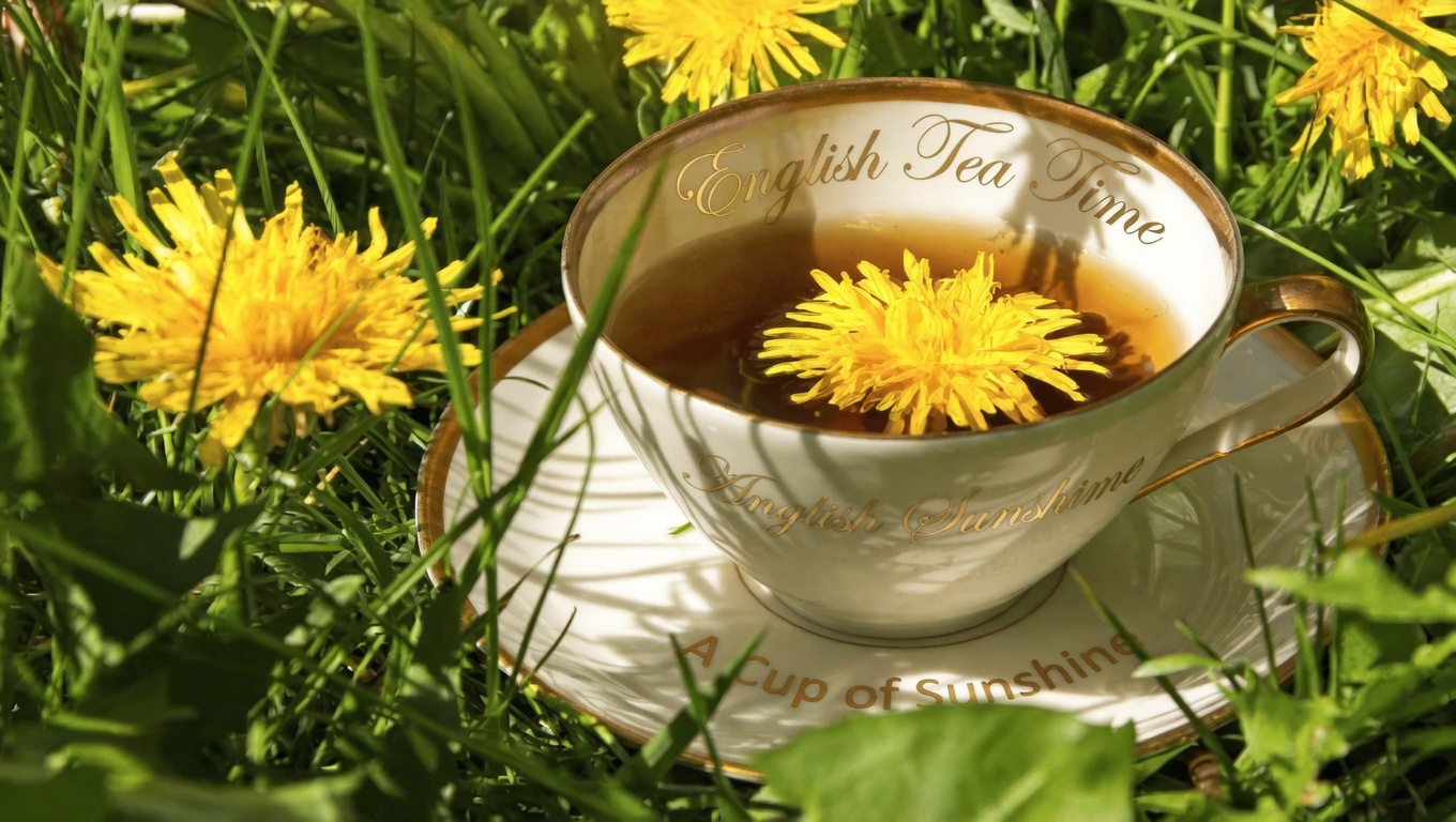 Dandelion and Prostate Health: What the Latest Research Tells Us About This Traditional Herb