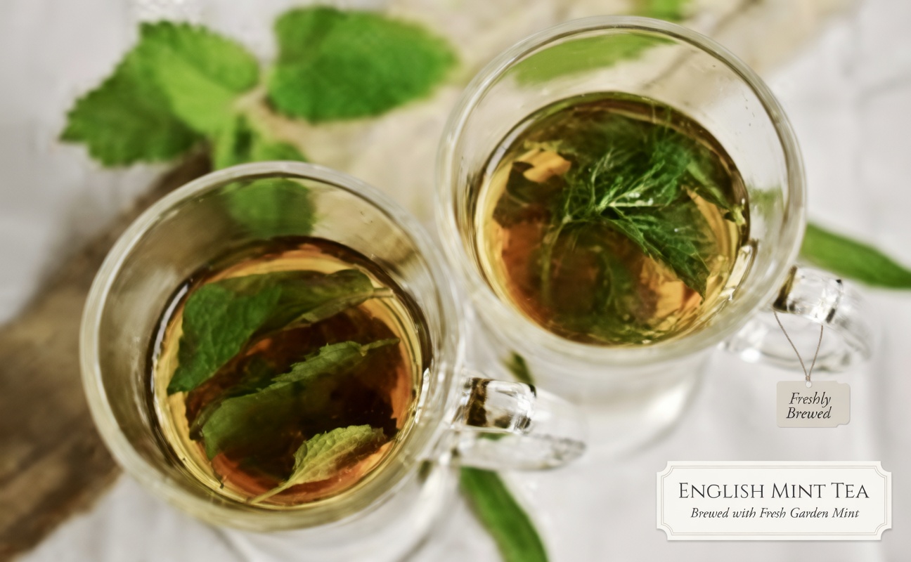 One Leaf a Day: The Hidden Power of Oregano Orejon