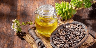 Castor Oil: Health Benefits & How to Use It for Hair