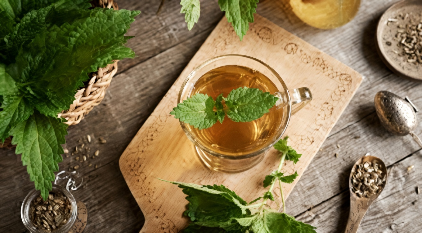 Nettle Root: When to Take It and How to Use It Safely