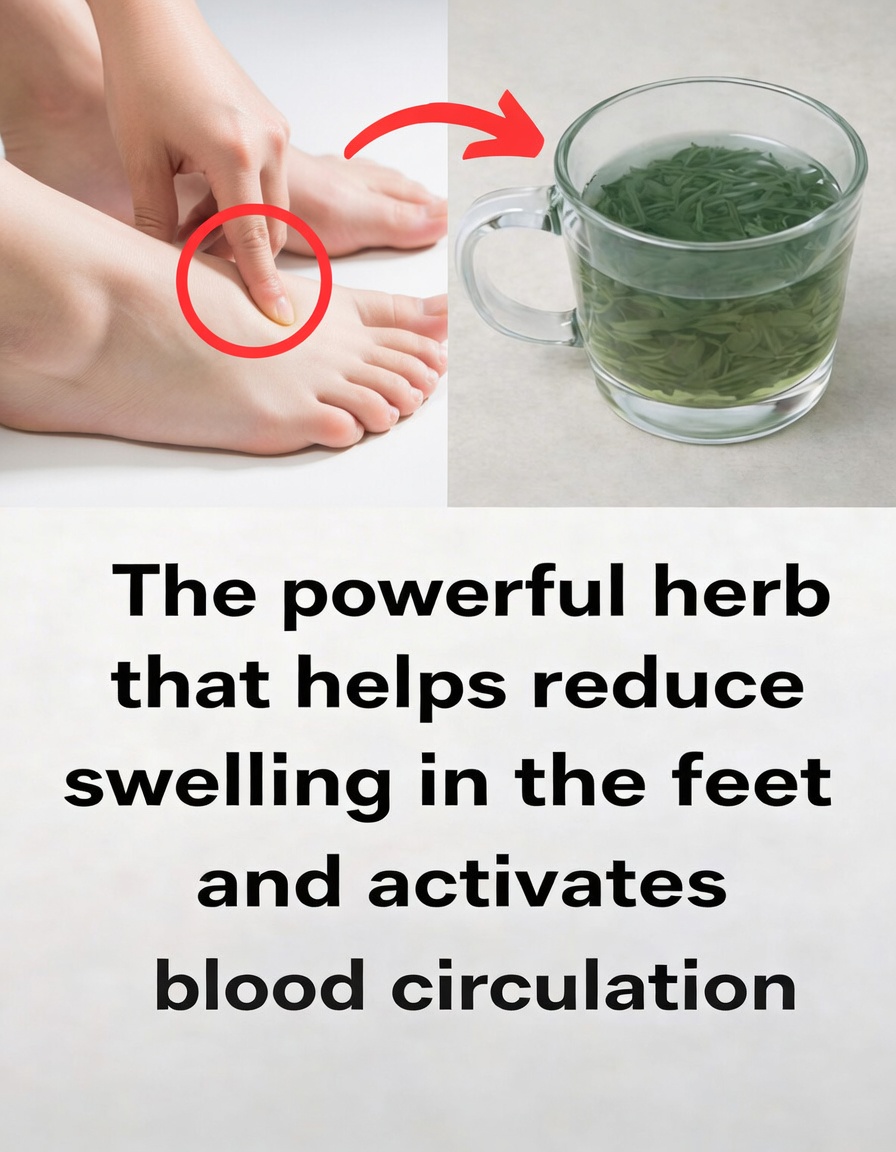 8 Best Diuretic Teas to Naturally Reduce Bloating and Fluid Retention