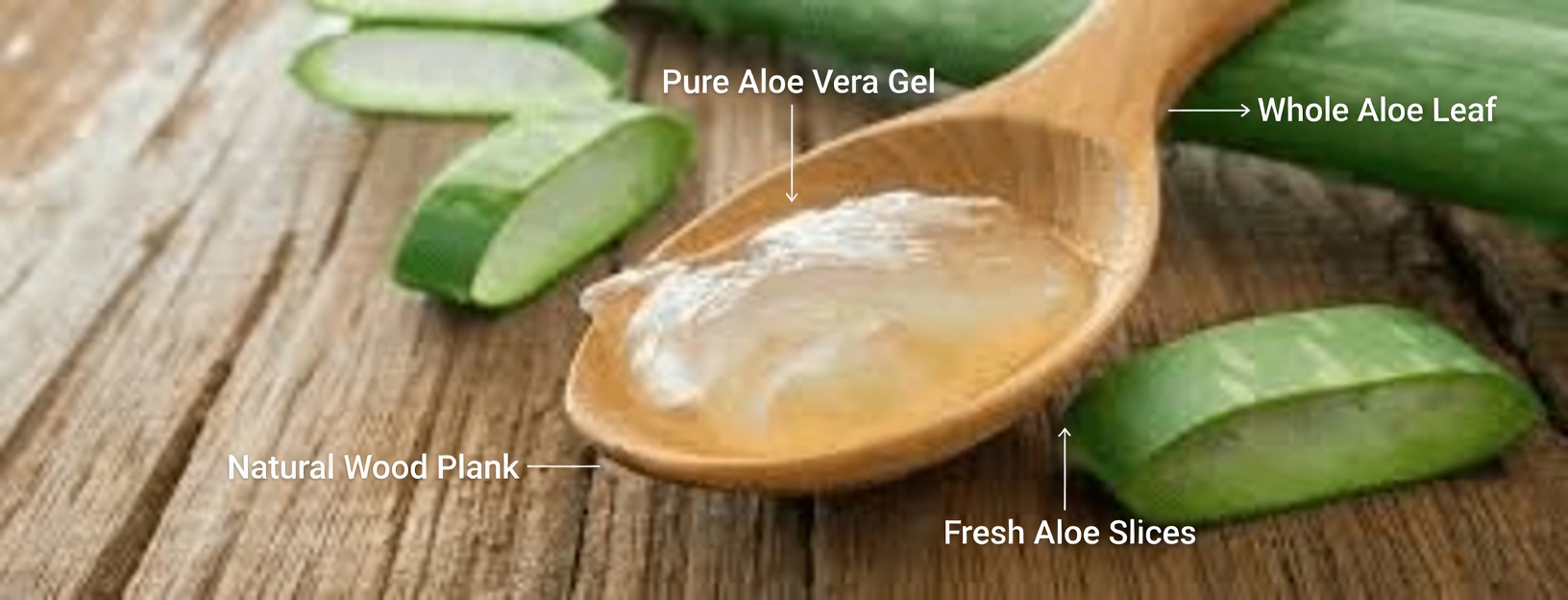 Aloe Vera Benefits for Daily Wellness, Skin & Eye Health