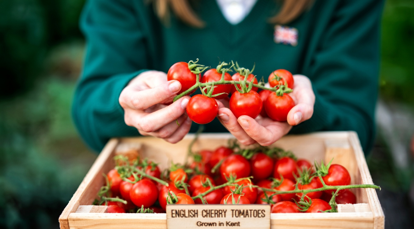 The Powerful Fruits That May Support Prostate Health – The Natural Edge Most Men Overlook