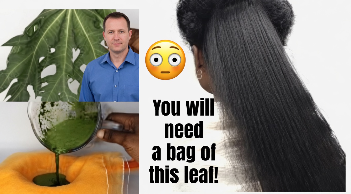 Embrace the Power of Papaya Leaves – A Natural Remedy for Youthful, Vibrant Hair