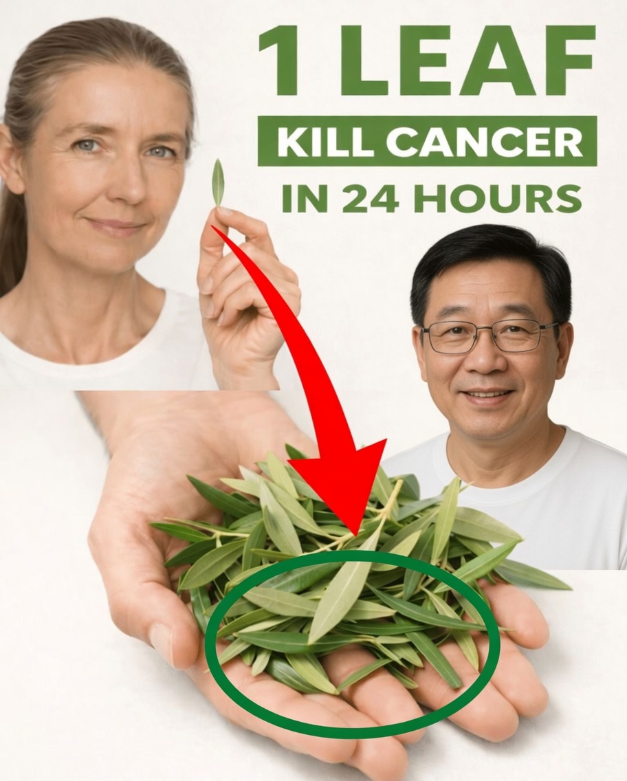 The Leaf Everyone Is Talking About: Exploring Soursop Leaves and Their Potential Role in Wellness