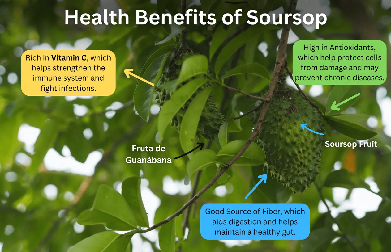 The Leaf Everyone Is Talking About: Exploring Soursop Leaves and Their Potential Role in Wellness