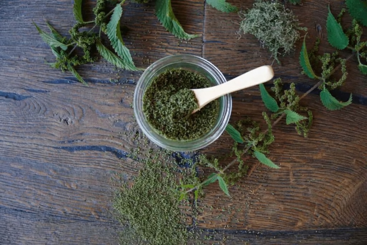 The Best Herbs to Treat Enlarged Prostate (BPH) – Nature’s Hidden Allies You’re Probably Overlooking