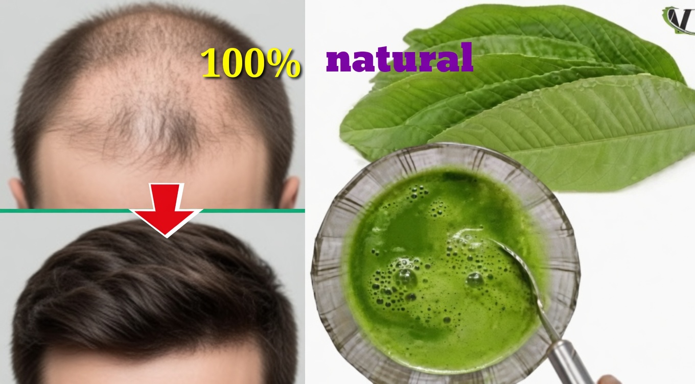 Guava Leaves for Hair Growth: 12 Natural Ways This Leaf May Support Healthier, Fuller Hair