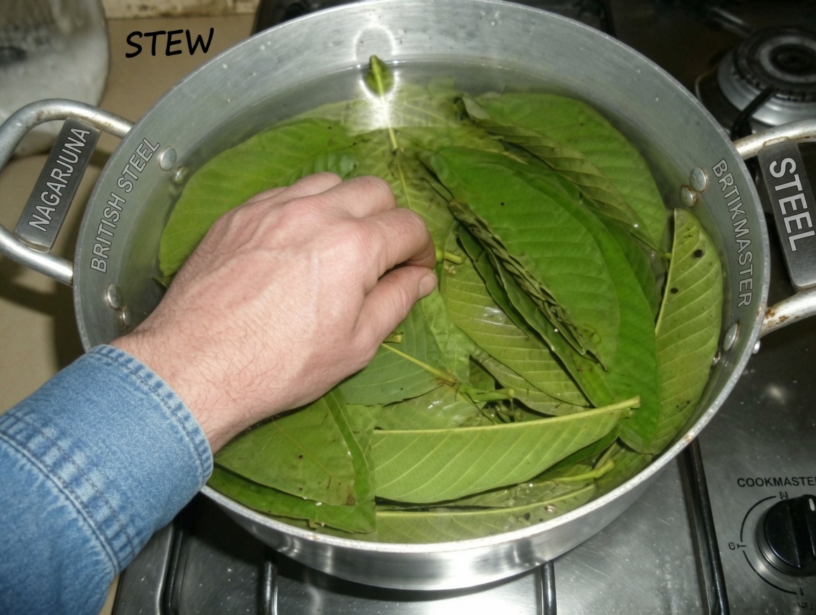 Guava Leaves for Hair Growth: 12 Natural Ways This Leaf May Support Healthier, Fuller Hair