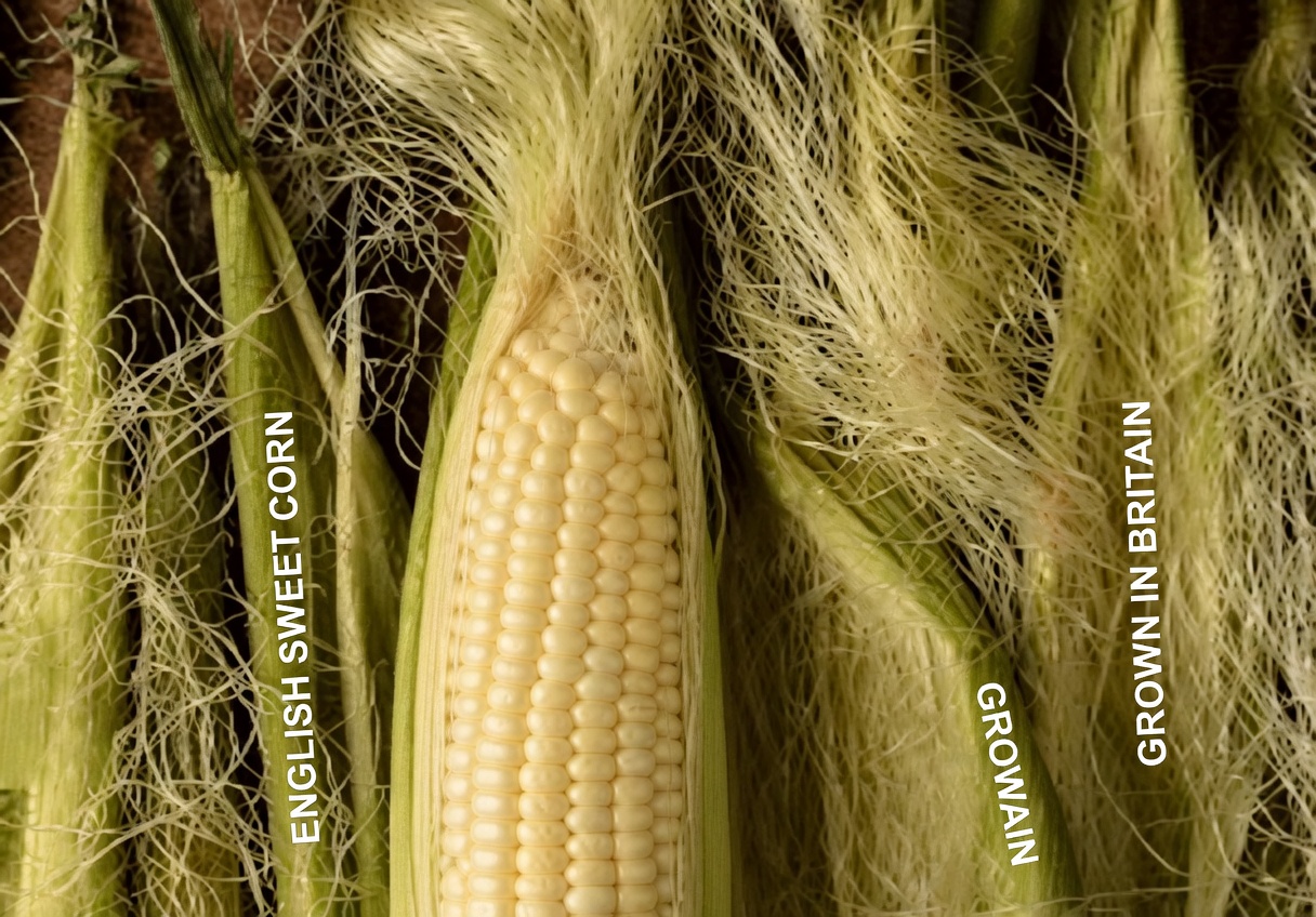 Unlocking the Powerful Health Benefits of Corn Silk: How to Use It and Key Precautions