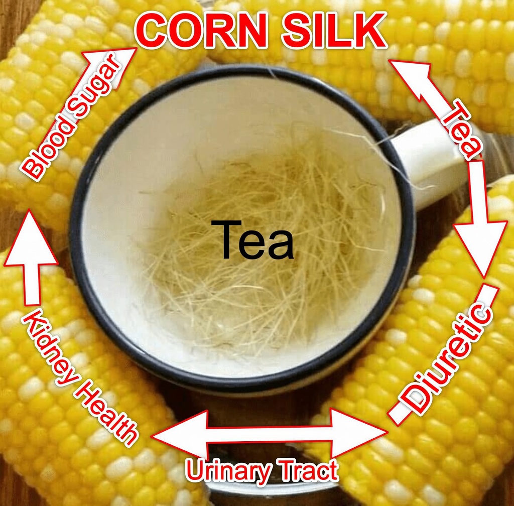 Unlocking the Powerful Health Benefits of Corn Silk: How to Use It and Key Precautions