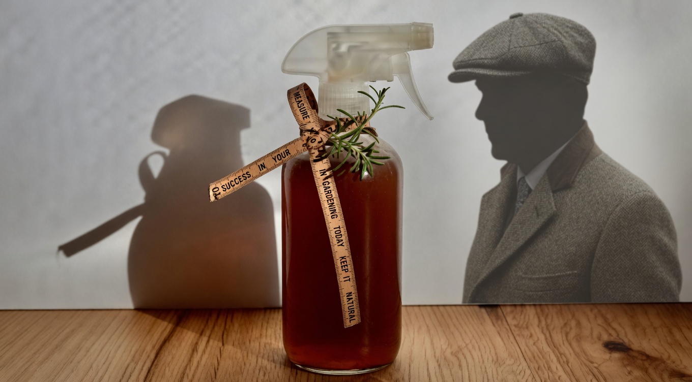 Rosemary Water for Hair: Your Simple Daily Ritual for a Fresher Scalp and Fuller-Looking Locks