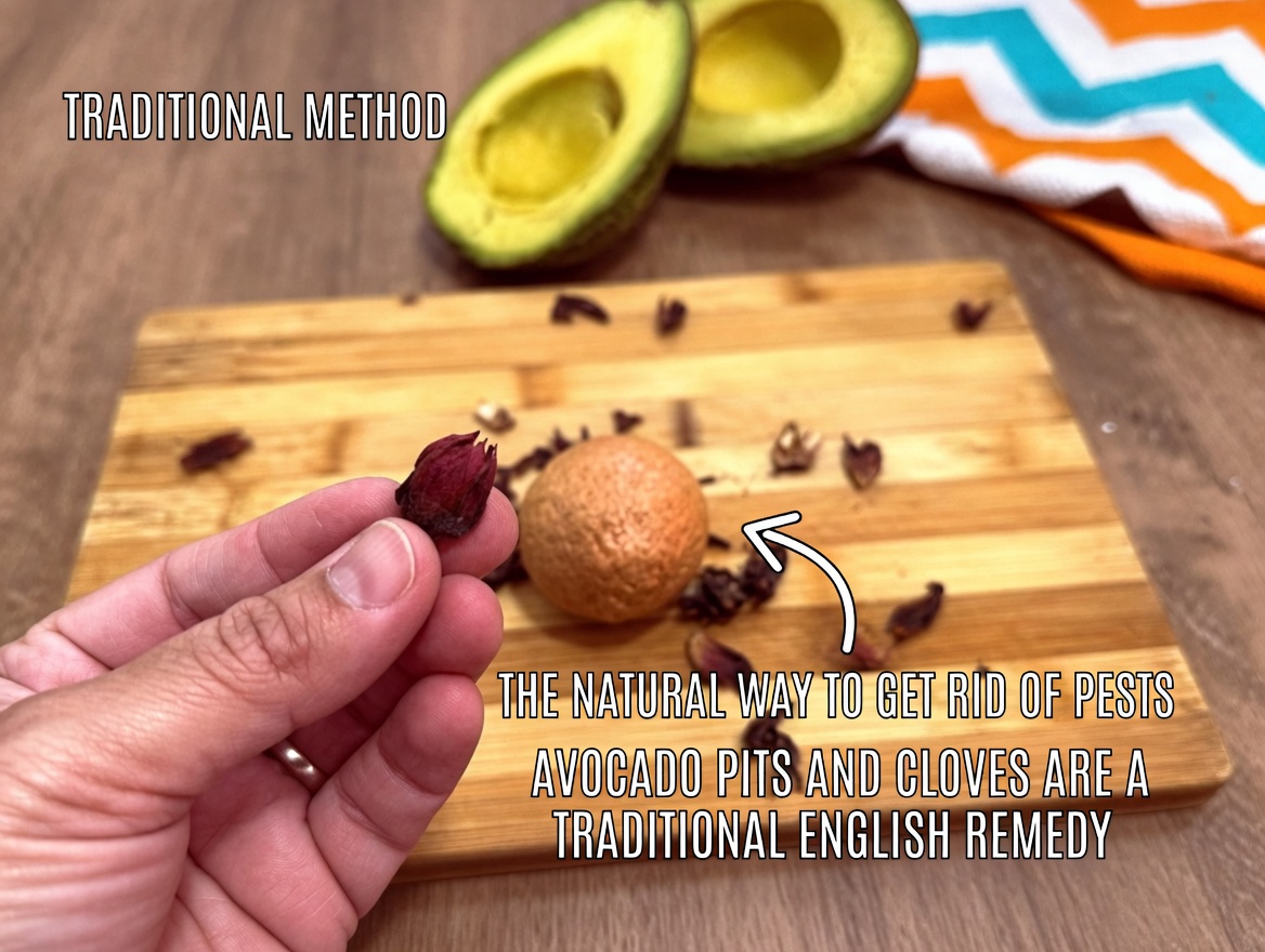 Hibiscus and Avocado Seed Infusion: Easy Homemade Herbal Tea Recipe You Can Brew at Home