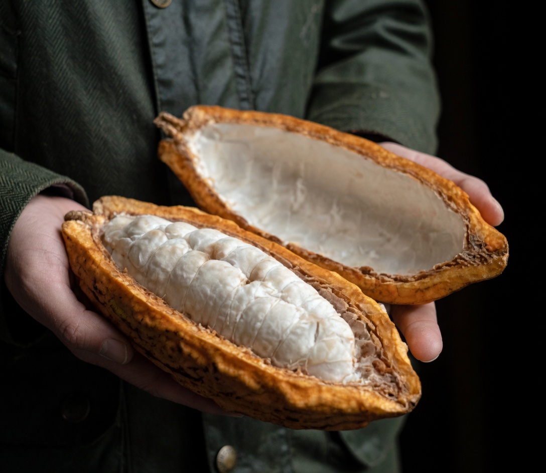 Doctor Says Keeping This Under Your Tongue for 30 Seconds Helps Your Heart, Blood Flow, and Blood Sugar