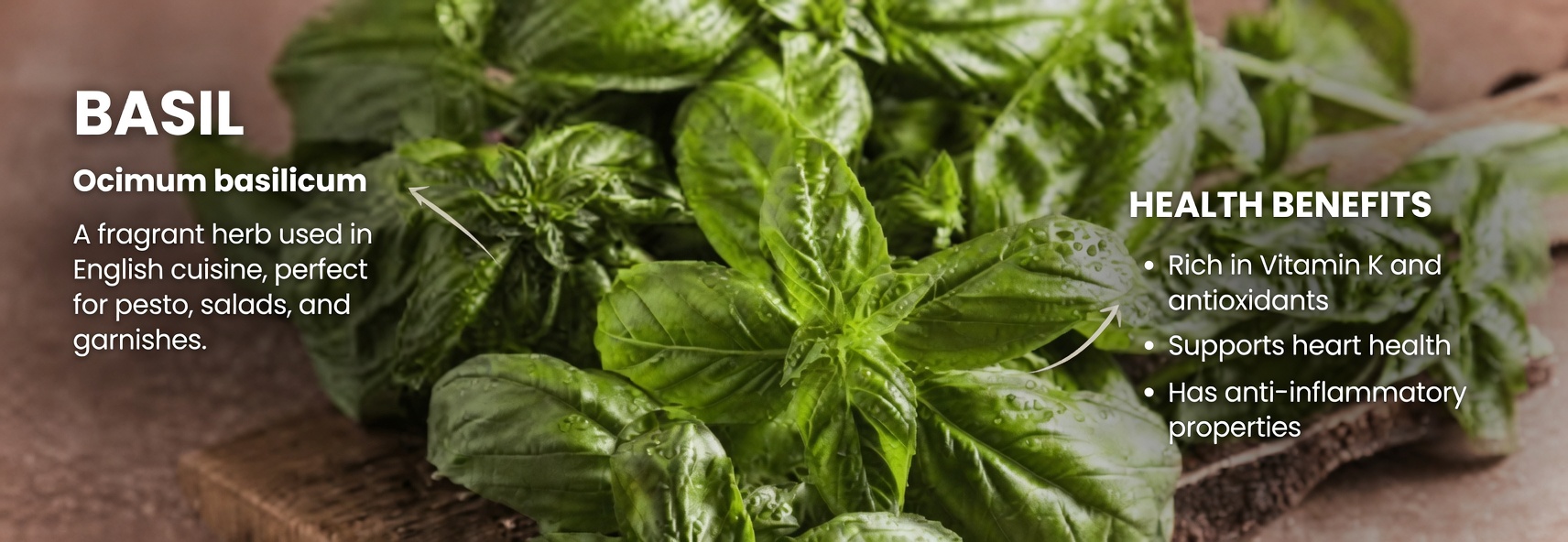 Discover How 5 Common Kitchen Spices Might Naturally Help Support Your Kidney Health in Everyday Meals