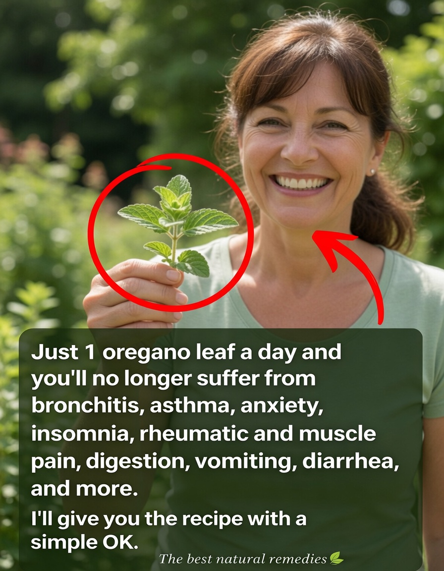 Oregano Orejón: Just 1 Leaf a Day to Support Your Health Naturally