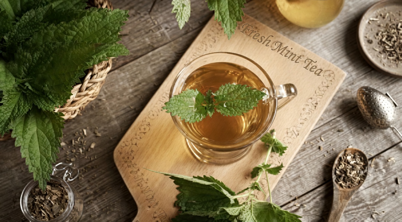 Nettle Root: When to Take It and How to Use It Safely