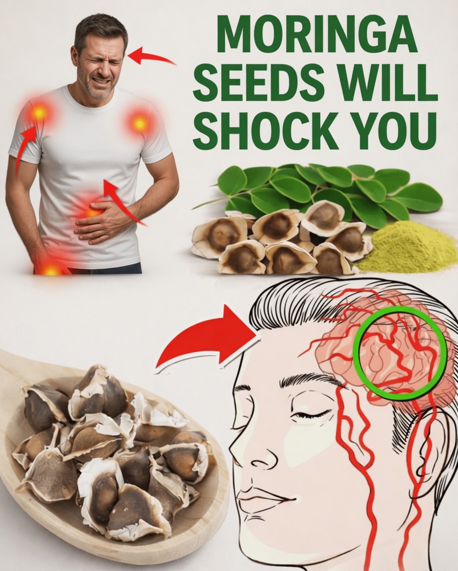 12 Ways Moringa Seeds Can Support Your Everyday Health and Wellness