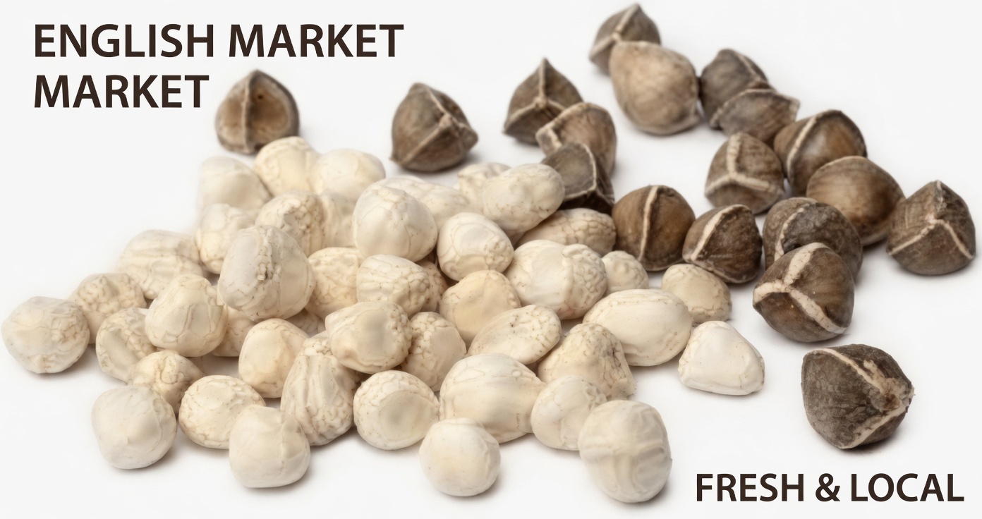 12 Ways Moringa Seeds Can Support Your Everyday Health and Wellness