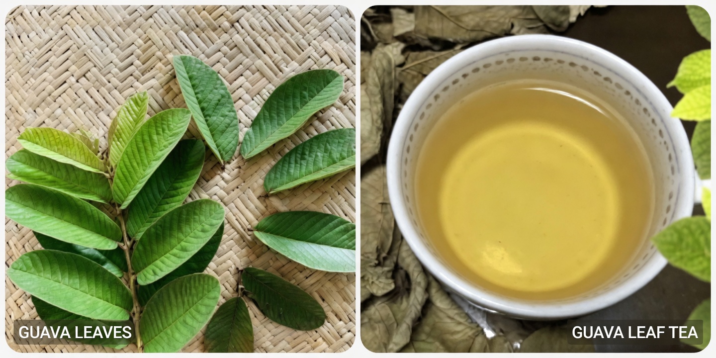 Guava Leaves Benefits: The Overlooked Natural Remedy You Shouldn’t Ignore