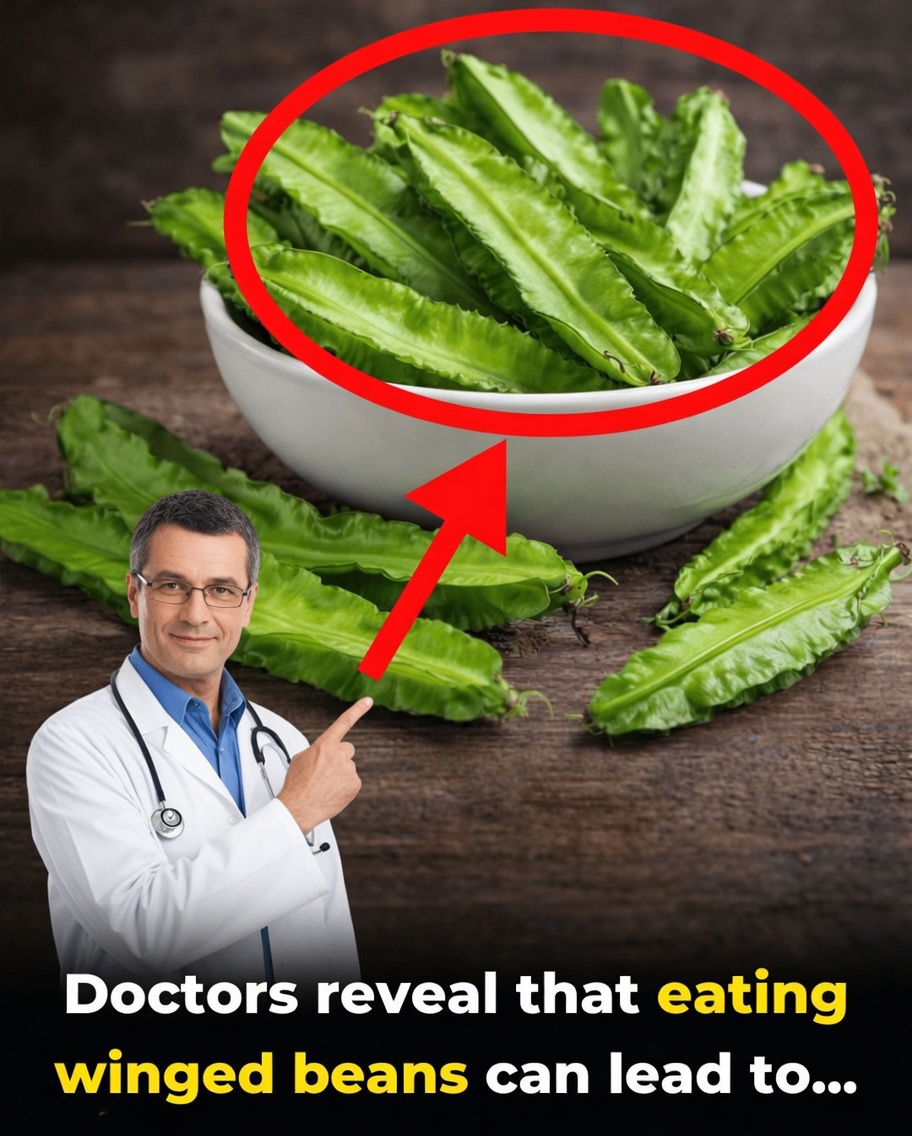 The Winged Bean Secret: A Simple Vegetable With Big Benefits for Eyes, Immunity, and Heart Health