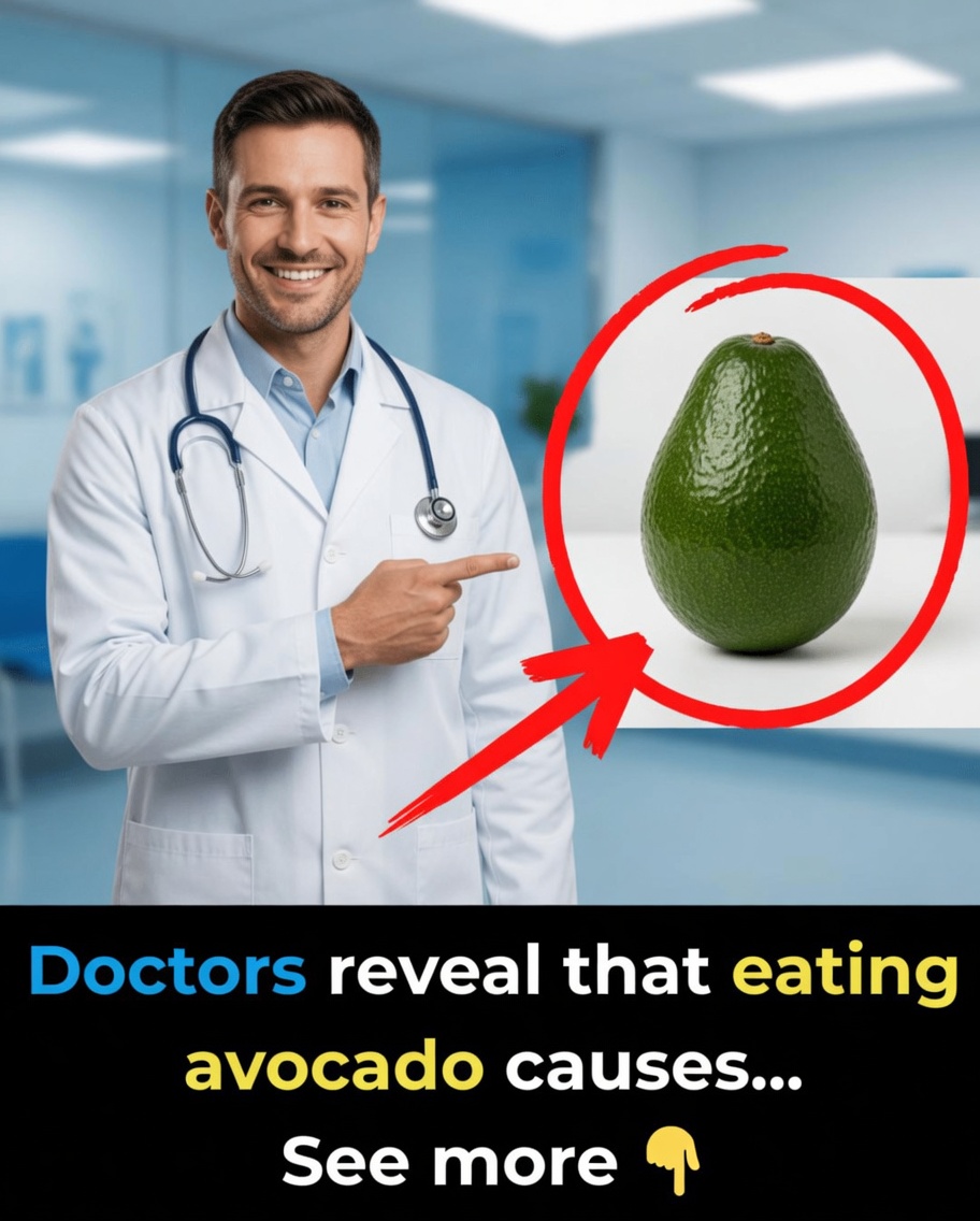 Scientifically Proven Health Benefits of Avocado and Avocado Seeds