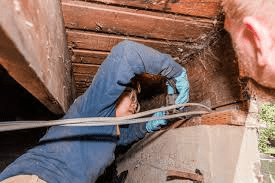 Stop Wasting Money on Pest Poisons: The Simple Toothpaste Trick That’s Changing Homes Across America