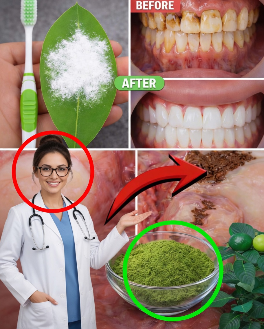 How to Naturally Brighten Your Smile with Guava Leaves: A Gentle Home Remedy