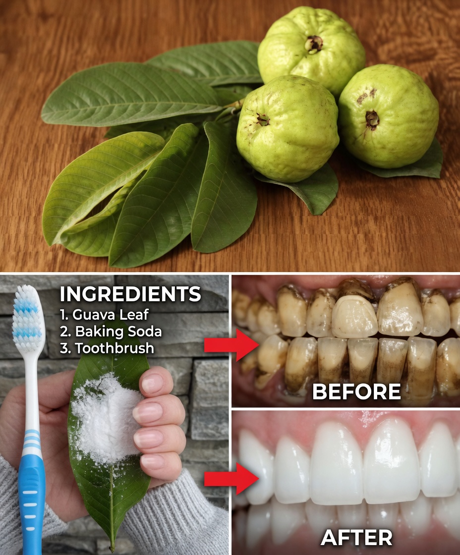 How to Naturally Brighten Your Smile with Guava Leaves: A Gentle Home Remedy