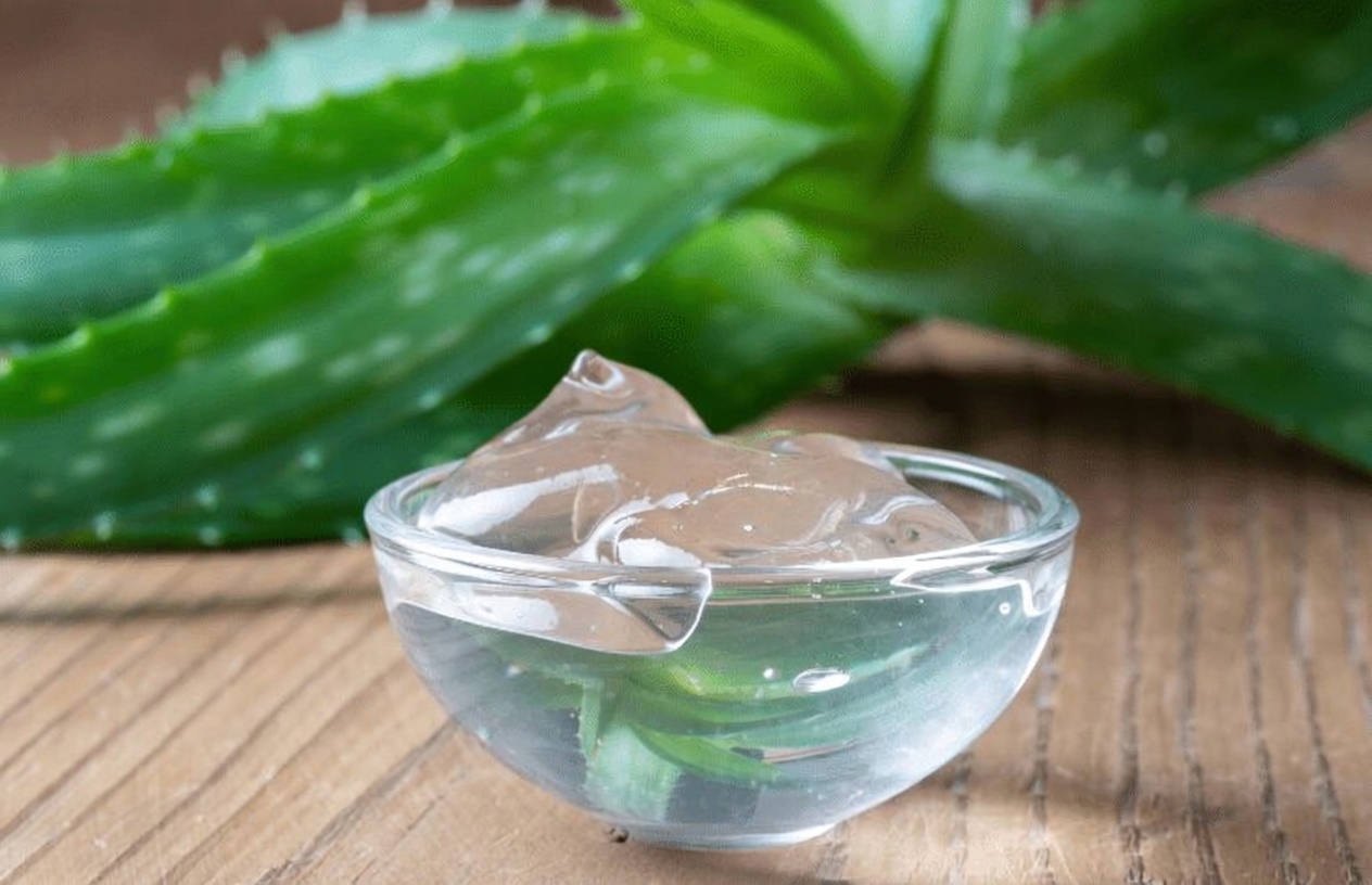 Aloe Vera for Eye Health: Natural Relief for Redness, Dry Eyes, and Irritation
