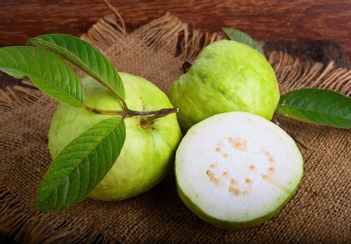 17 Surprising Benefits of Guava Leaves You Never Knew About – The Overlooked Natural Powerhouse Transforming Health for Americans Over 40