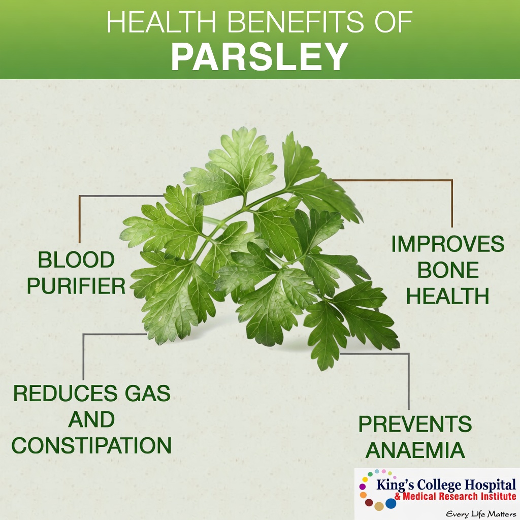 5 Essential Leaves to Naturally Improve Your Eye Health