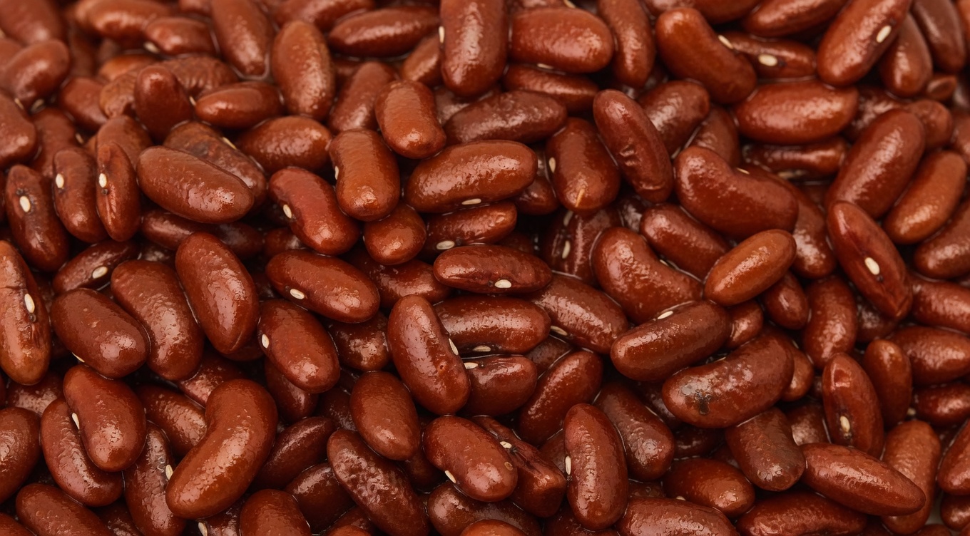 Top 10 Superfoods That May Support Kidney Health and Help Manage Proteinuria