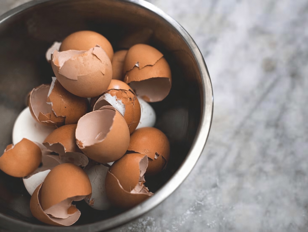 When Your Knee Loses Collagen, Eggshells Are the Natural Lifesaver You Need!