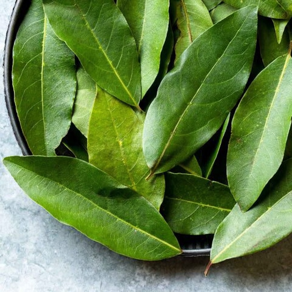 Bay Leaf for Aging Skin: A Surprising Kitchen Habit Worth Knowing?