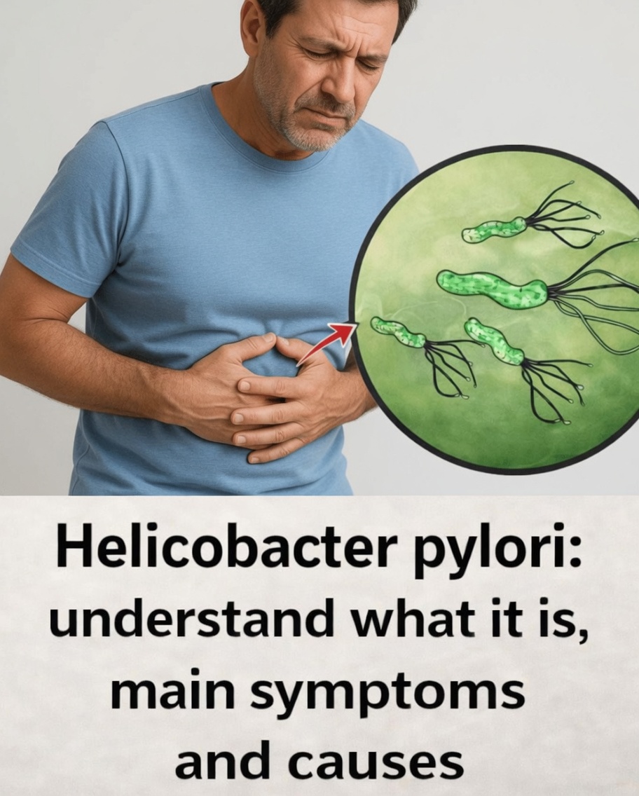 Helicobacter pylori Warning: Could This Quiet Stomach Germ Be Affecting You?